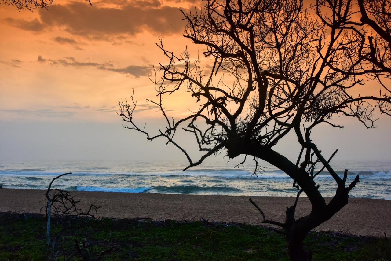 La Lucia Sands Beach Resort Durban Buitenkant foto